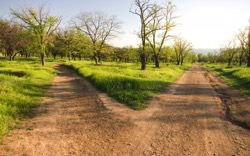 paths.jpg Paths